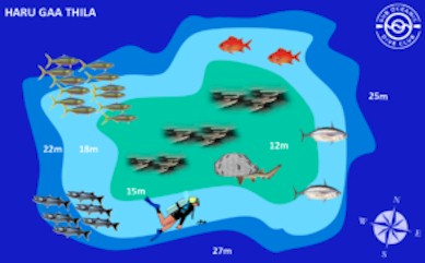 Haru Gaa Thila